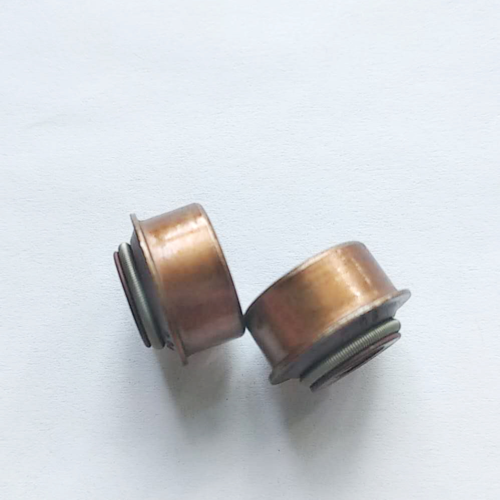 Engine 5031936300 Valve Stem Seal