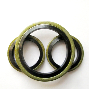 Bonded Seal Bronze Washer Sealing