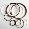 PTFE Gasket for Seal in Xingtai Hebei Province